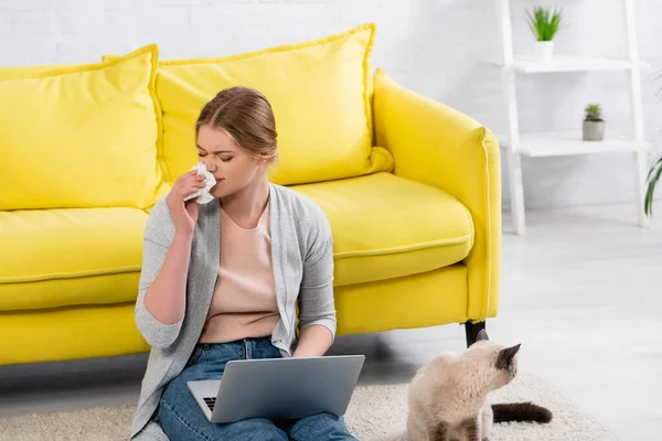 Joven Freelancer Que Sufre Snuffle Cerca Del Gato Siamés Casa — Foto de Stock