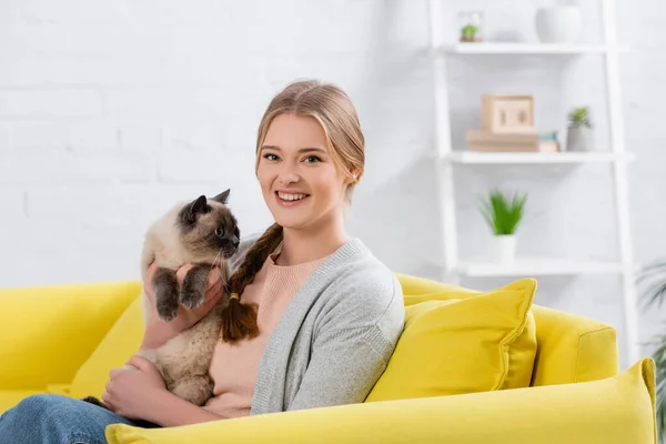 Happy Woman Holding Furry Siamese Cat Looking Camera Yellow Couch — Stock Photo, Image