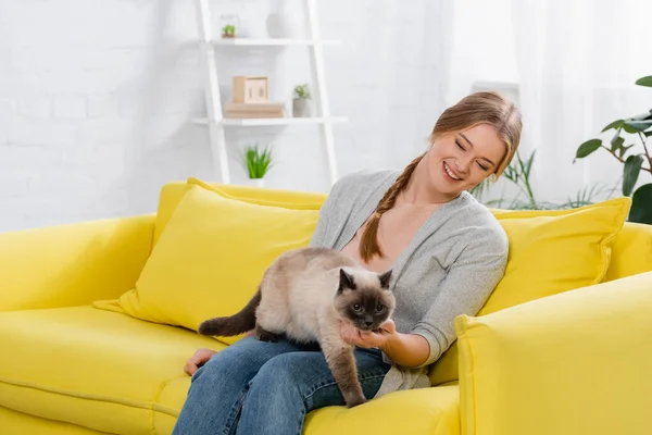 Mujer Positiva Mirando Gato Siamés Sala Estar — Foto de Stock