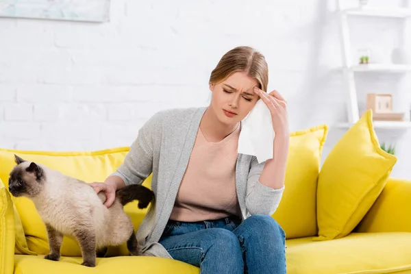Upset Woman Allergy Holding Napkin Siamese Cat — Stock Photo, Image