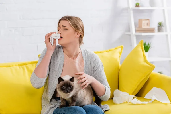 Mujer Con Alergia Estornudando Cerca Servilletas Gato Siamés Casa — Foto de Stock