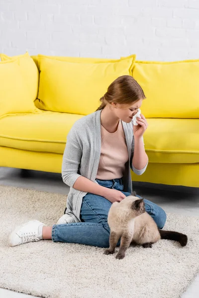 Mulher Que Sofre Alergia Rapé Perto Gato Siamês Sala Estar Fotografias De Stock Royalty-Free