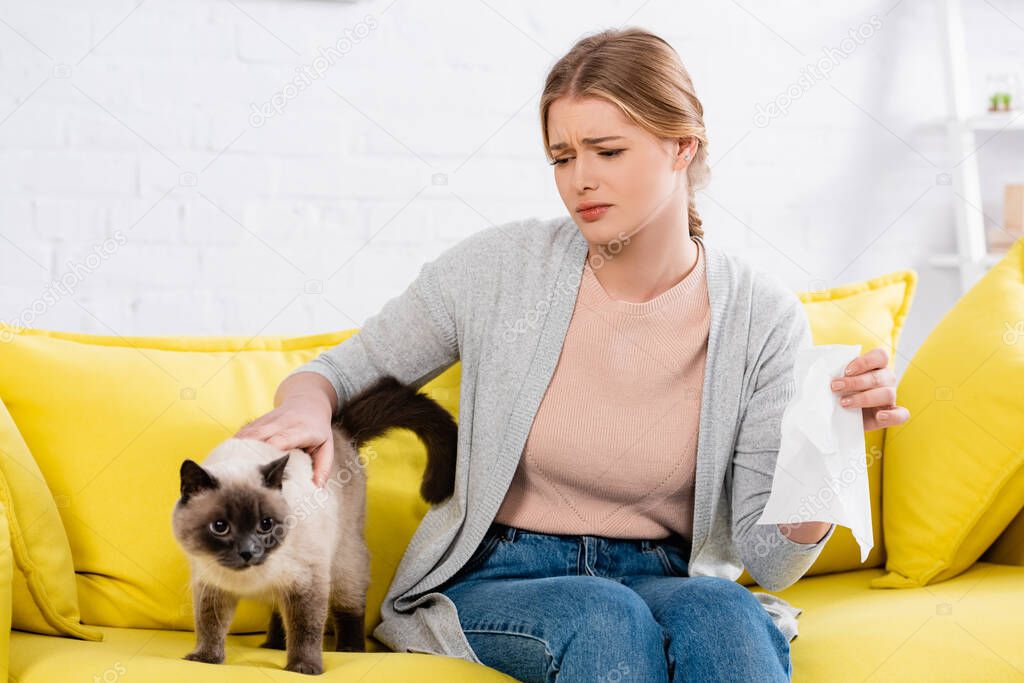 Sad woman with napkin stroking siamese cat during allergy 