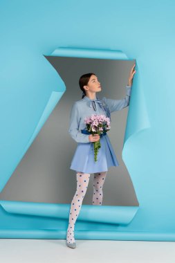 Pembe kasımpatı olan çekici kadın gri arka planda mavi kağıtta deliğe giriyor.