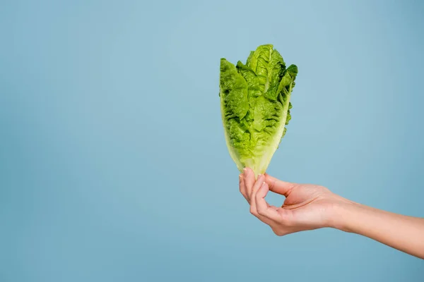 Teilansicht Einer Frau Mit Frischem Grünen Salat Auf Blauem Hintergrund — Stockfoto