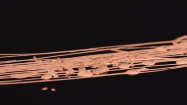 Siyah arkaplana damlayan bej makyaj vakfının zaman aşımı