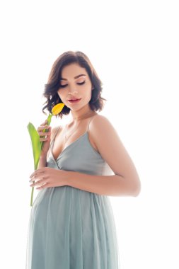 Young pregnant woman holding flower isolated on white clipart