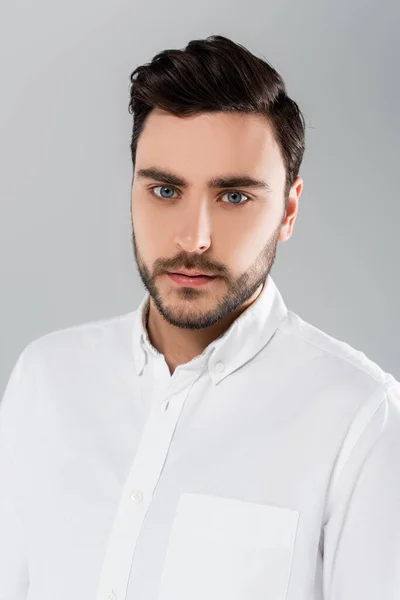 Young Bearded Man Looking Camera Isolated Grey — Stock Photo, Image