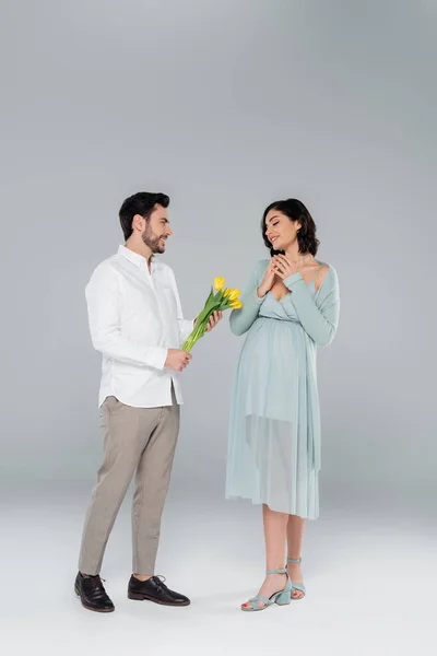 Uomo Che Tulipani Moglie Incinta Sfondo Grigio — Foto Stock