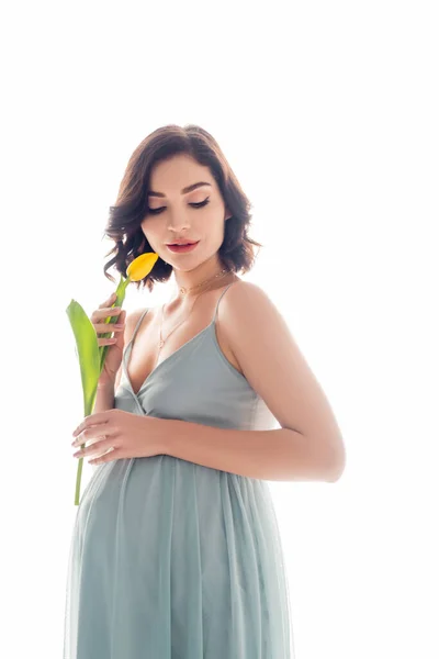 Young Pregnant Woman Holding Flower Isolated White — Stock Photo, Image