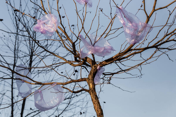 низкий угол обзора дерева с пластиковыми пакетами на ветках, экологическая концепция