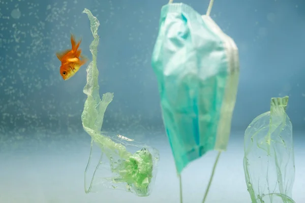 stock image goldfishes in water near plastic rubbish and medical mask, ecology concept