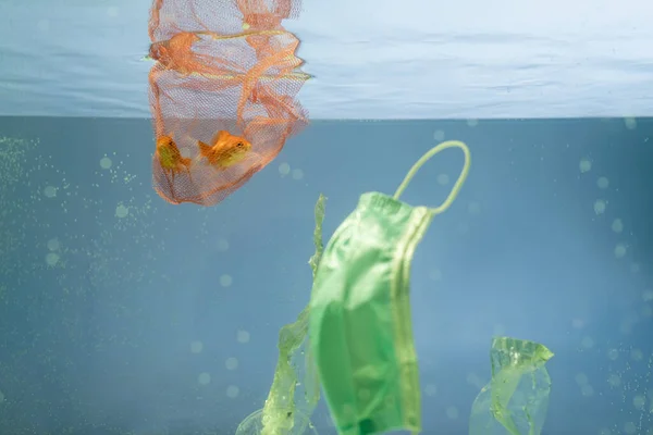 Schutzmaske Netznähe Mit Goldfischen Wasser Ökologisches Konzept — Stockfoto