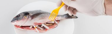 partial view of man in latex glove holding plastic fork near fish and cigarette ends on white, ecology concept, banner clipart