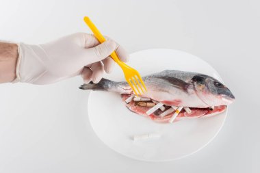 Plastik çatallı, sigarayla doldurulmuş balığın yanındaki plastik eldivenli erkek elinin kısmi görüntüsü, ekoloji kavramı.