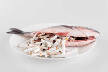 plate with cigarette ends and gutted fish on white surface, ecology concept clipart