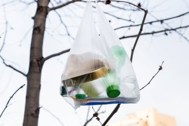 Ağaçta plastik şişeler ve plastik torba, ekoloji konsepti