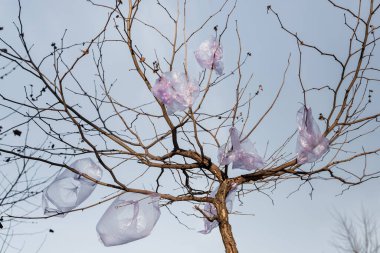 Mavi gökyüzüne karşı ağaçtaki plastik poşetin düşük açılı görüntüsü, ekoloji kavramı