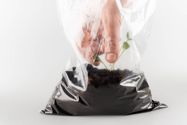 partial view of man taking out young plants from plastic bag on white, ecology concept