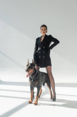 Gri arka planda, eli kalçasında, Doberman 'ın yanında gölgeli şık bir kadın.