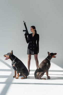 Gri arka planda gölgeli doberman köpeklerine bakarken şık bir kadın tüfeğini tutuyor.