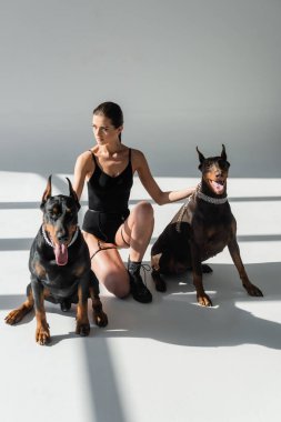 Koyu renk elbiseli esmer kadın gölgeli gri arka planda Doberman 'ların yanından uzağa bakıyor.