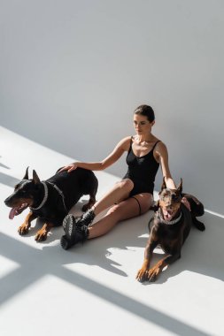 # Yüksek açılı bir manzara # # Doberman 'ların yanında oturan # # gri gölgeli beyaz kadın #