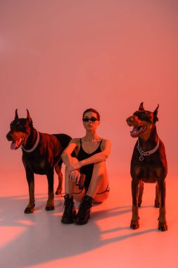 Siyah elbiseli esmer kadın ve botlu adam pembe arka planda Dobermanlar 'ın yanında oturuyor.