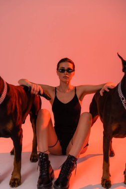 Pembe arka planda, güneş gözlüklü ve tulumlu silahlı bir kadın, sarı ışıklı Dobermanlar 'ın yanında oturuyor.