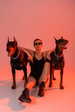 Doberman köpekleri, pembe arka planda silahlı, sarı ışıklı seksi bir kadının yanında oturuyor.