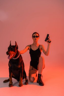 Zincirli tasmalı doberman köpeği. Pembe arka planda silahlı, sarı ışıklı seksi bir kadının yanında.