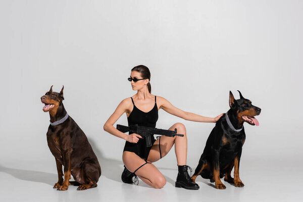 sexy woman in bodysuit and sunglasses holding rifle near dobermans on grey background