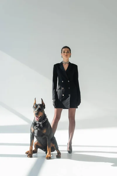 confident woman in black blazer dress looking at camera near doberman on grey background with shadows