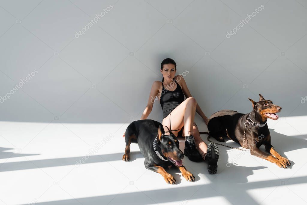 young woman in black bodysuit sitting near doberman dogs on grey background with shadows