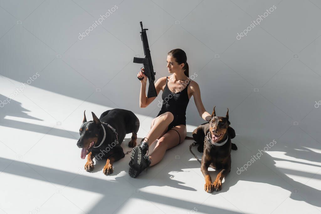 sexy woman with rifle looking away while sitting near dobermans on grey background with shadows