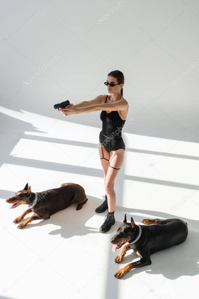 sexy woman in bodysuit aiming with gun near dobermans on grey background with shadows