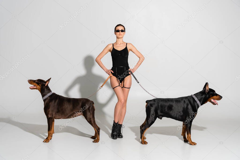 sexy woman in black bodysuit standing with hands on hips near dobermans on grey background with shadows