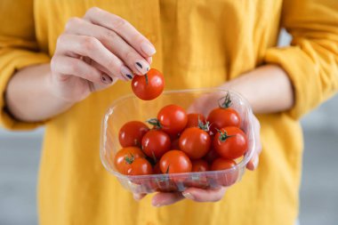 cropped view of young woman holding plastic container with ripe cherry tomatoes   clipart