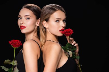 two charming women looking at camera while posing with red roses isolated on black clipart