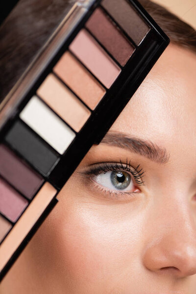 partial view of female face near eye shadows palette