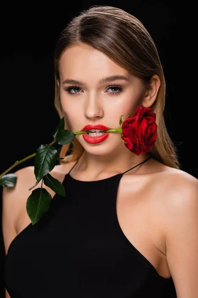 Спокуслива Жінка Тримає Червону Троянду Зубами Ізольовано Чорному — стокове фото