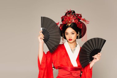 Asian woman in kimono holding black fans isolated on grey  clipart