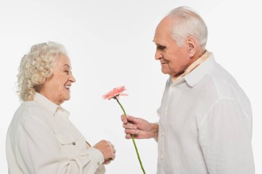 Gülümseyen yaşlı bir adam pembe Gerbera çiçeğini beyaz karısına sunuyor.