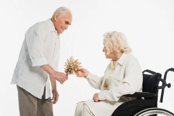 Oudere Man Presenteren Gedroogde Bloemen Aan Vrouw Rolstoel Geïsoleerd Wit — Stockfoto