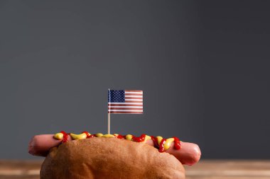 Gri üzerinde küçük Amerikan bayrağı olan lezzetli bir sosisli sandviç.