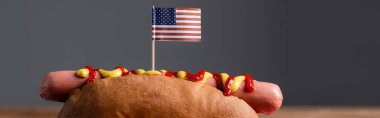 delicious hot dog with small usa flag isolated on grey, banner clipart