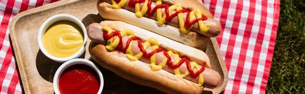 Vista Dall Alto Del Vassoio Legno Con Hot Dog Salse — Foto Stock