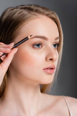 young woman applying brown eyebrow pencil isolated on grey clipart