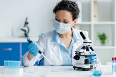 Tıbbi maskeli Afrikalı Amerikalı bilim adamı ve lateks eldivenler mikroskop ve petri kaplarının yanında pipet tutuyor. 