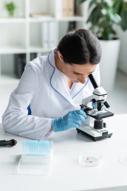 Lateks eldivenli bilim adamları petri kabı ve test tüplerinin yanında mikroskop kullanıyorlar. 
